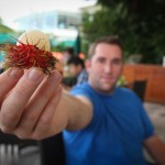 Rambutan - an interesting local fruit